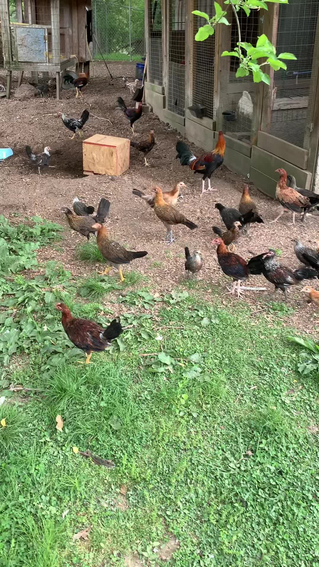 @MGFARM