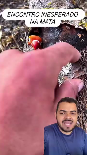 @Obrasilense