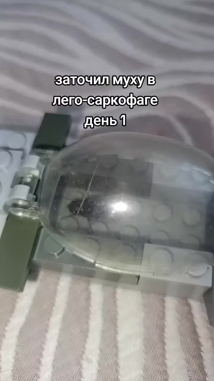 @на аве моя девушка мечты