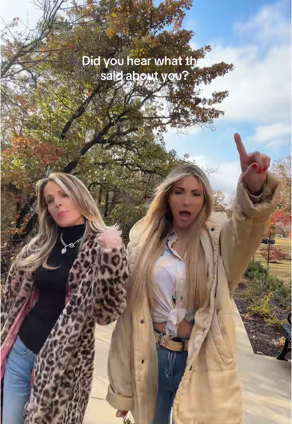 @crystalleechambers