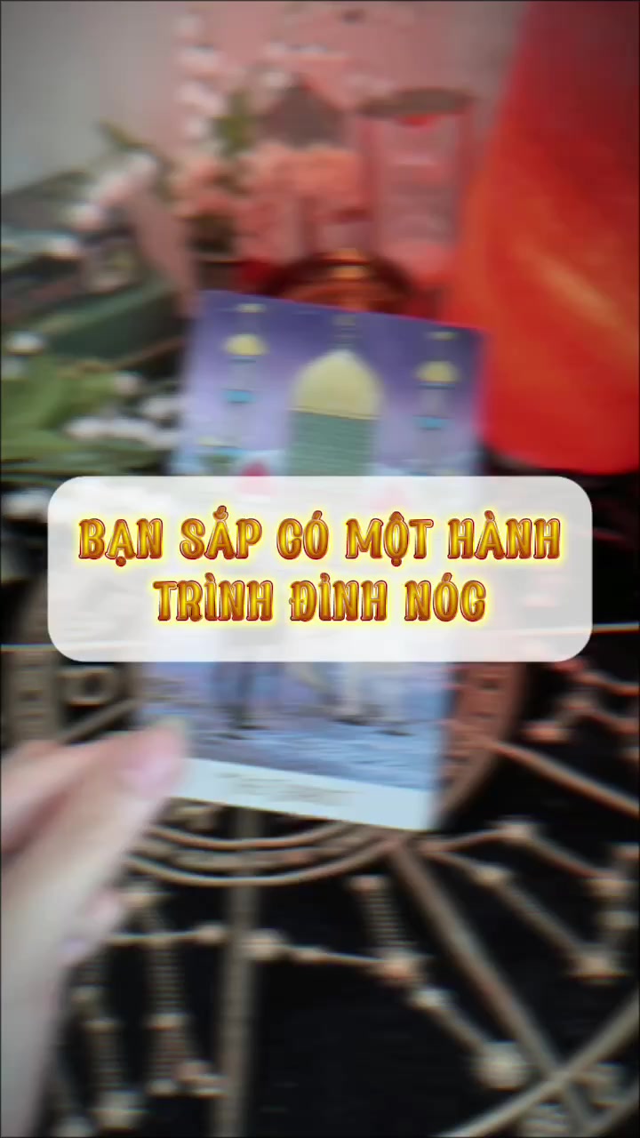 @Phytarot 𓍢ִ໋🍯ྀིྀིྀིྀི