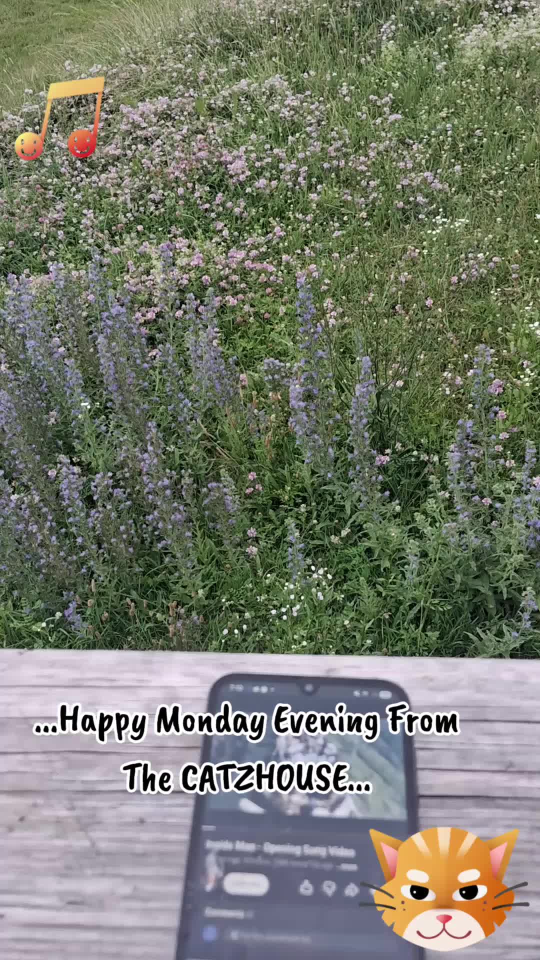 @Booh Hovey crazycatlady3