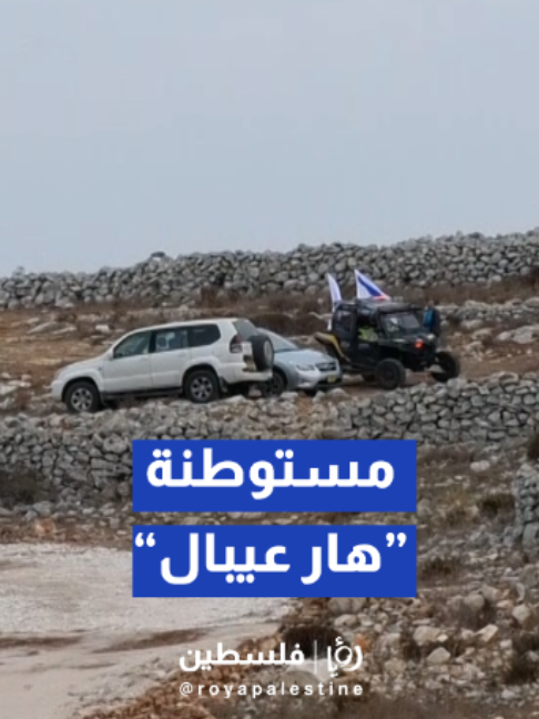 @Royapalestine رؤيا فلسطين
