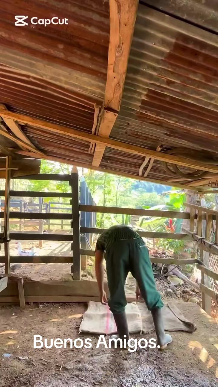 @Koki-Cr