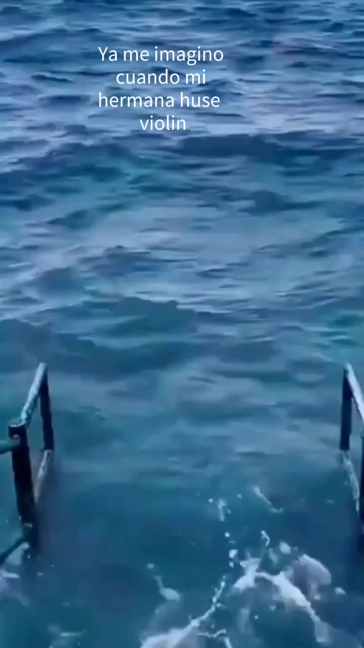 @Carlitossusun