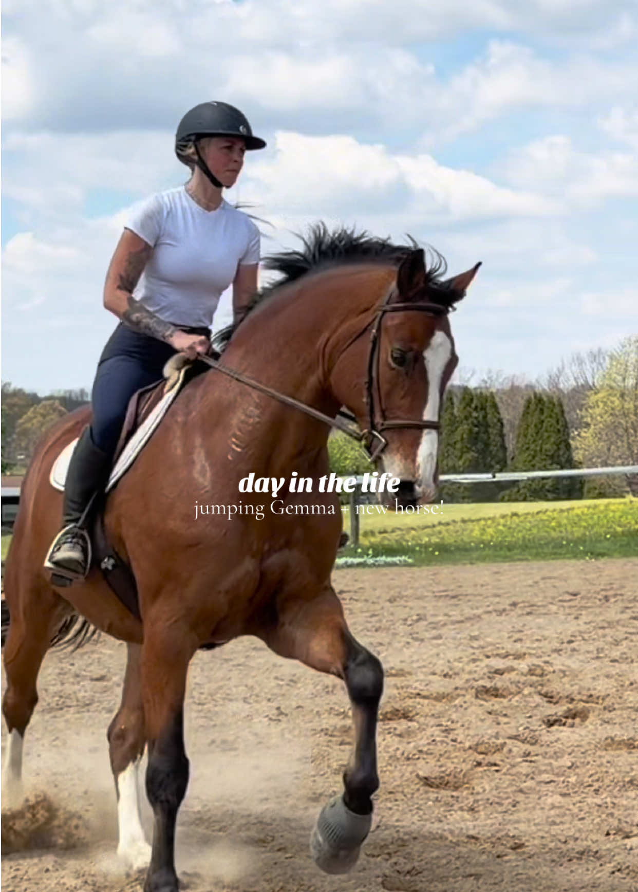 @Lunar Hill Equestrian