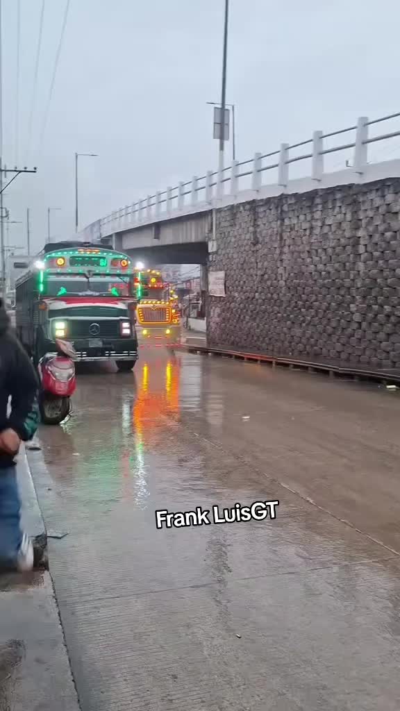 @FRANK LUIS GT