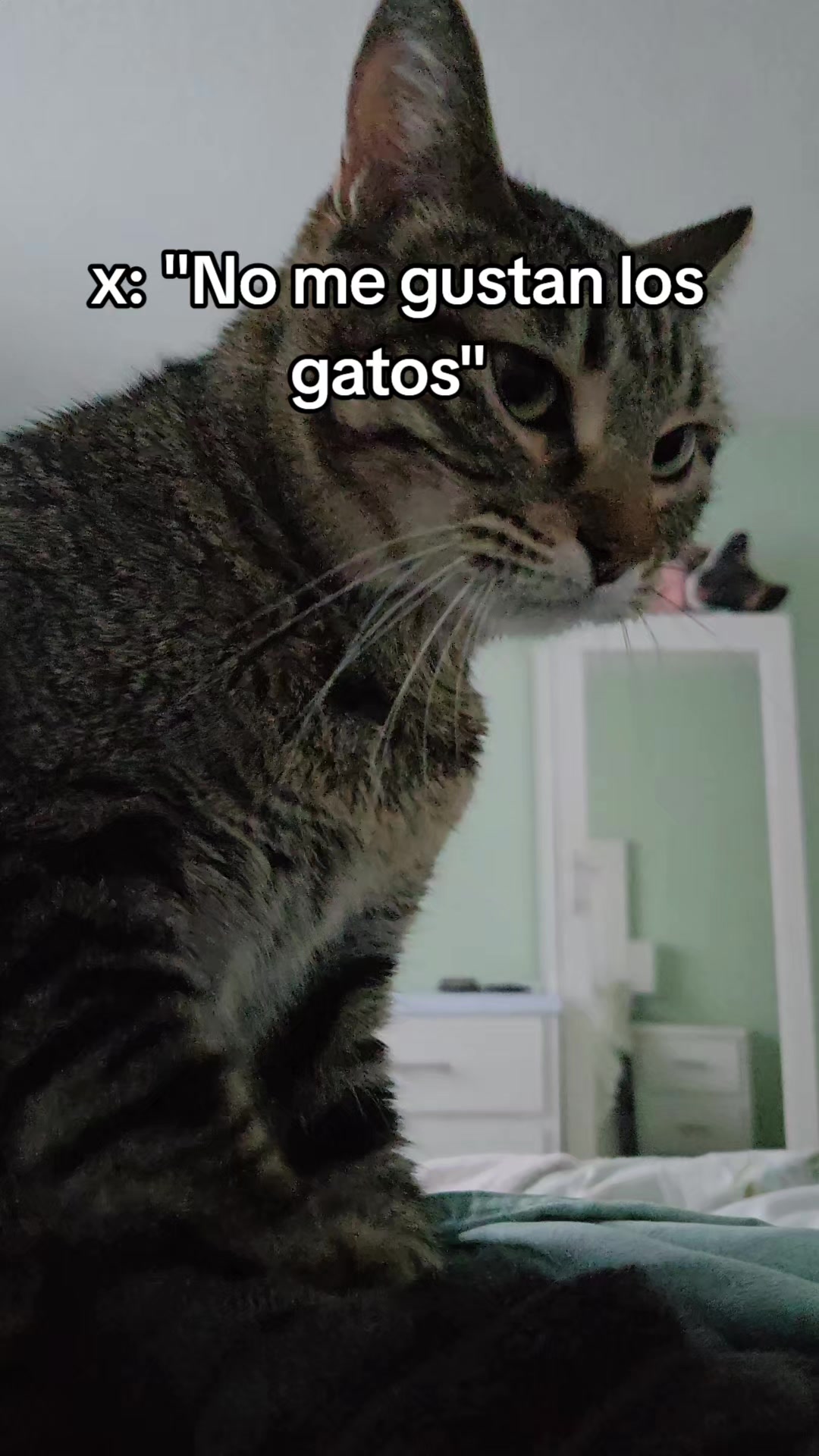 @Janni