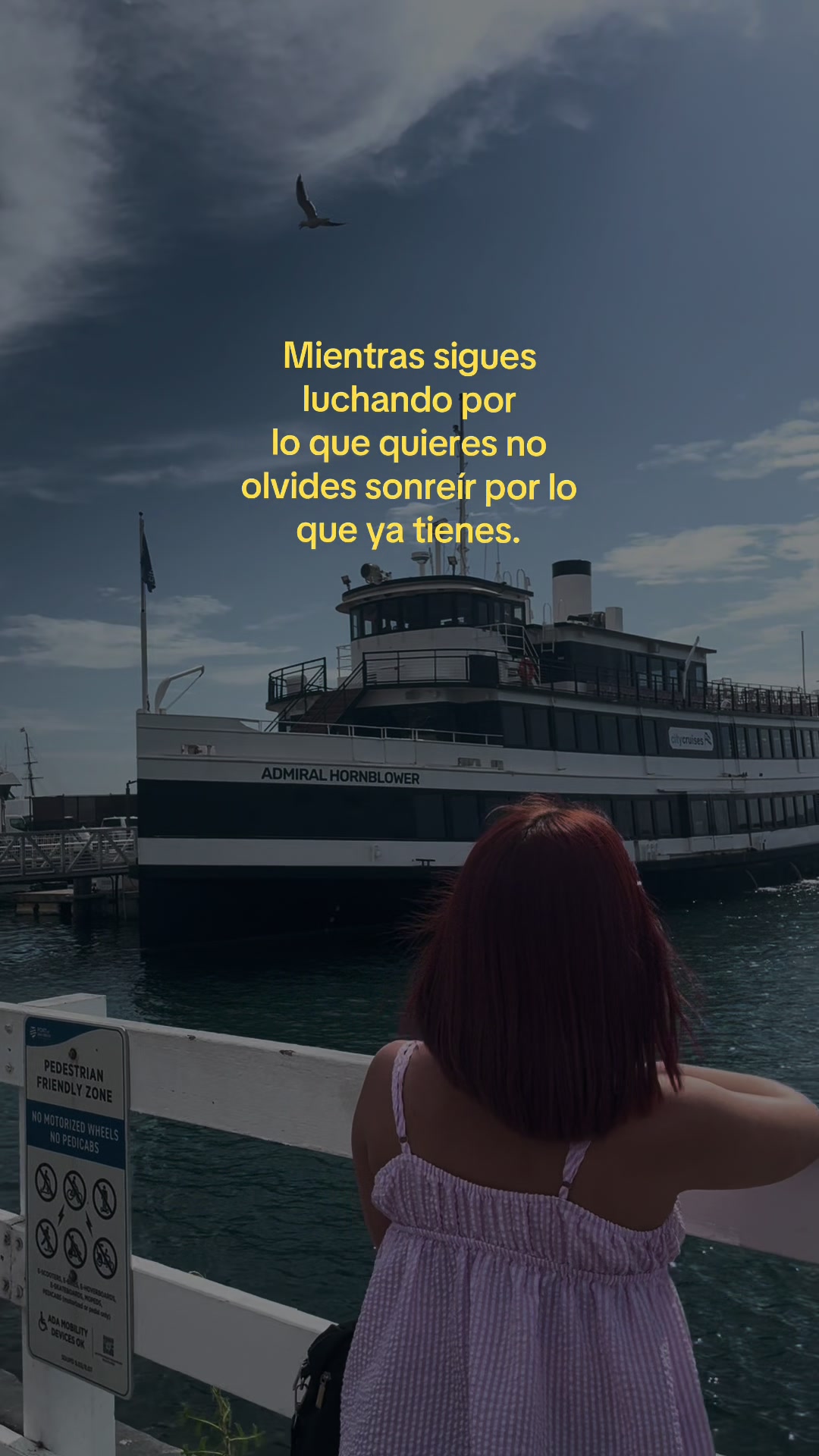 @odalischavezzz