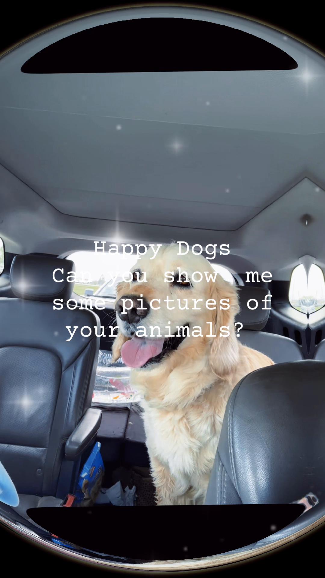 @KoviandLucky