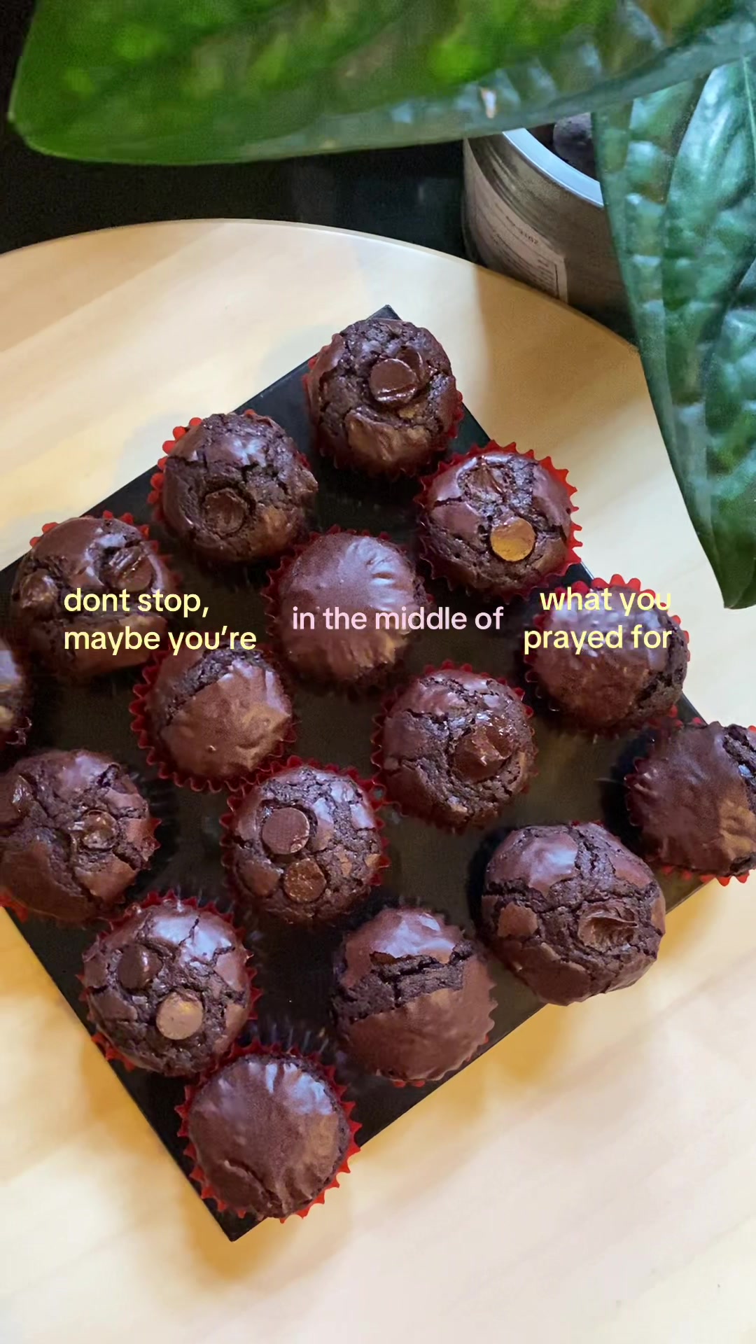 @Baked by Qis