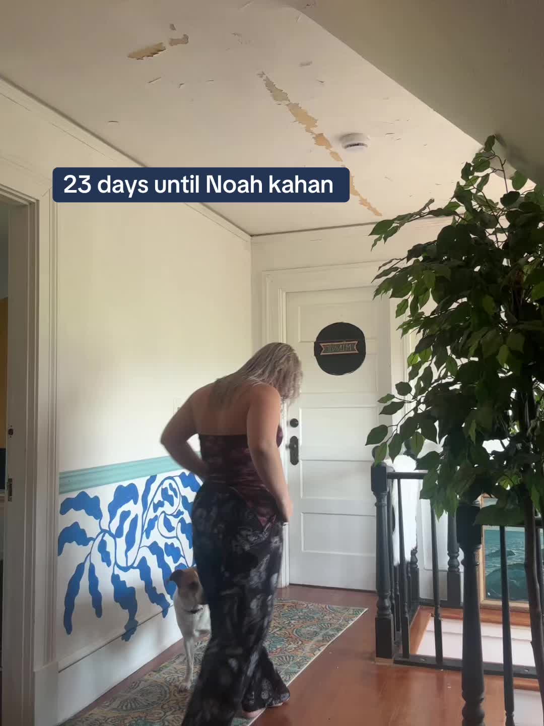 @𖦹 *٭ 𓆣 נαу 𓆣٭ * 𖦹