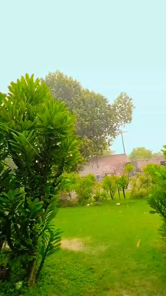 @Shani Gujjar
