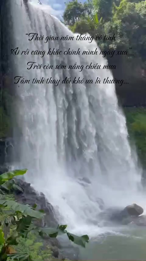 @Trungofficial