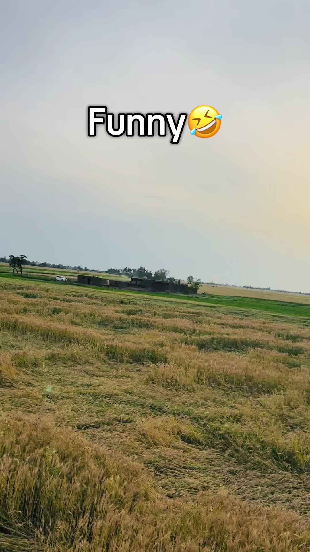 @ꪶ_ᗰ☈ ᗩʰᵐᵃᴅ ᏰαႦυ🔥