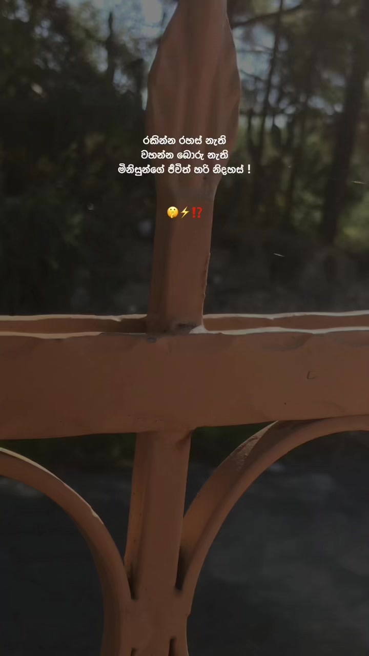 @𝙎𝙝𝙚𝙣 ❕
