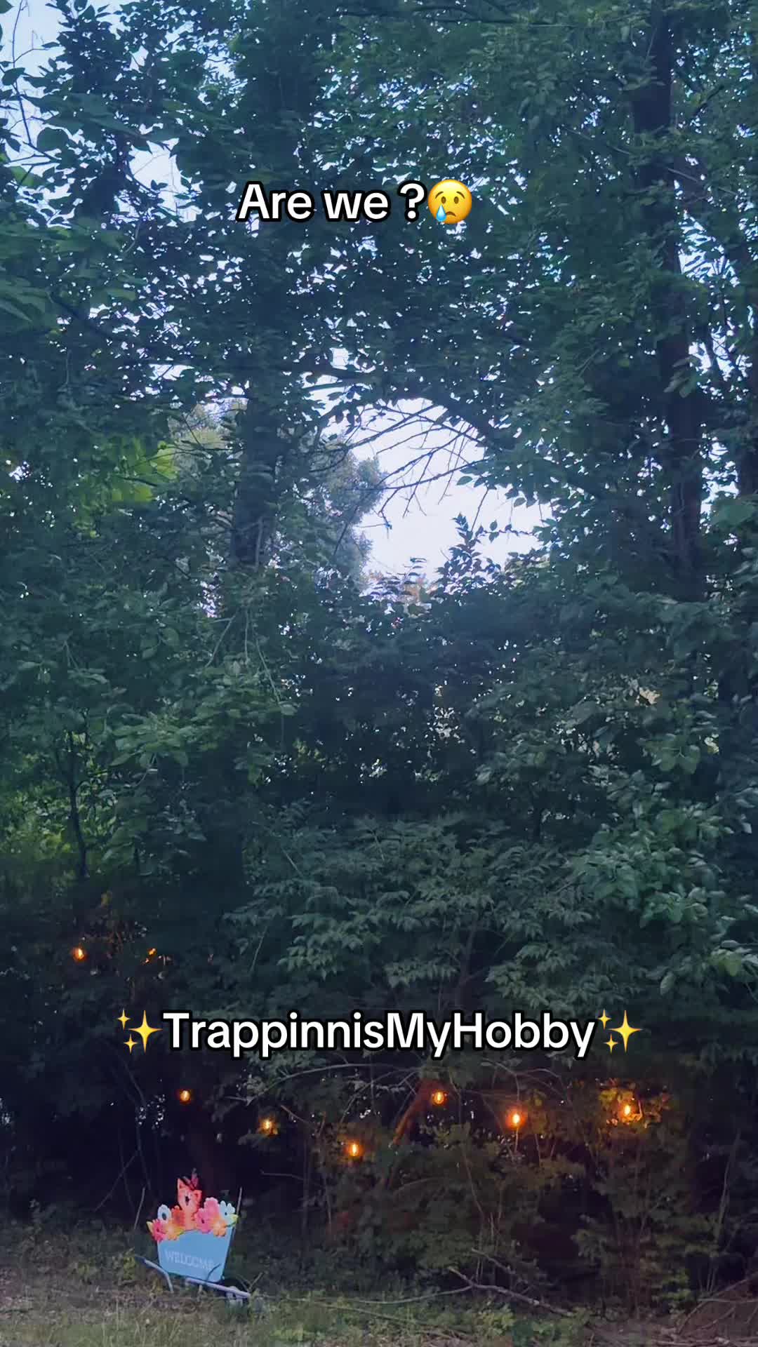 @✨Trappinnismyhobby10515✨
