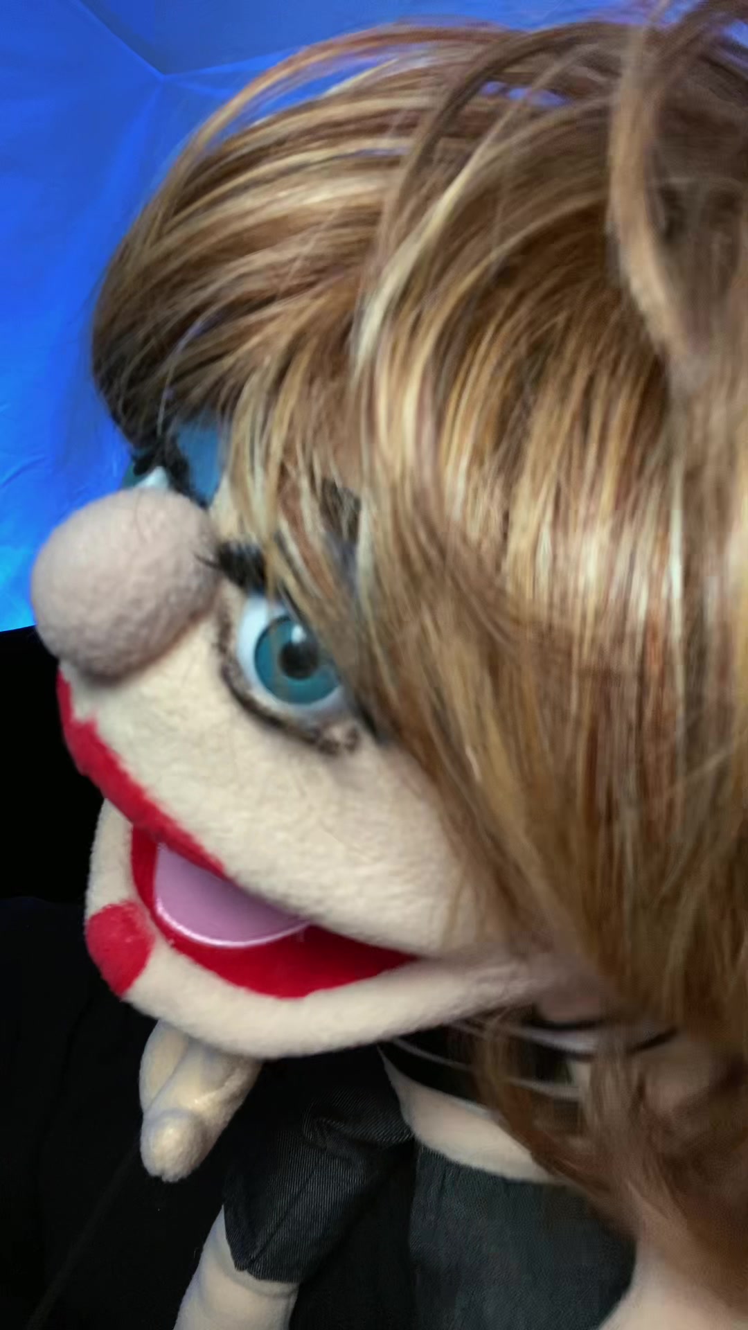 @Goodman&rsquo;s Wacky Puppets