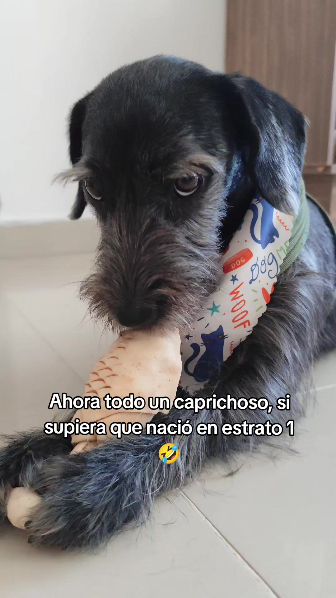 @Nutricarly