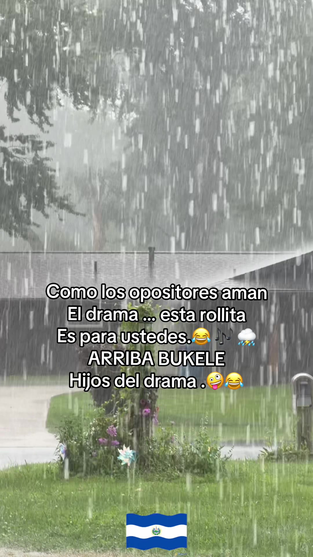 @Lili Jandric 🩵
