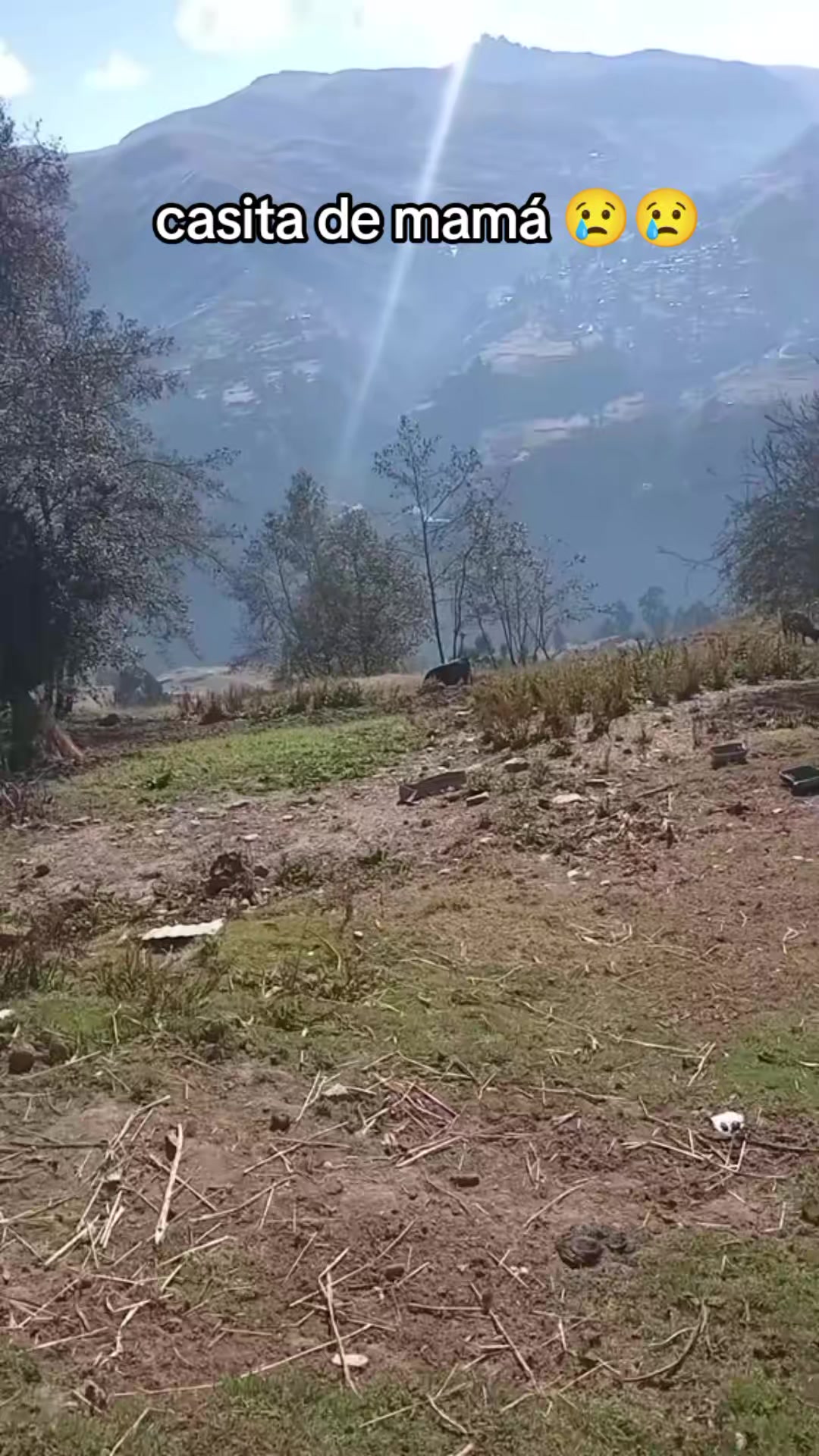 @Mendozita JR❤️27