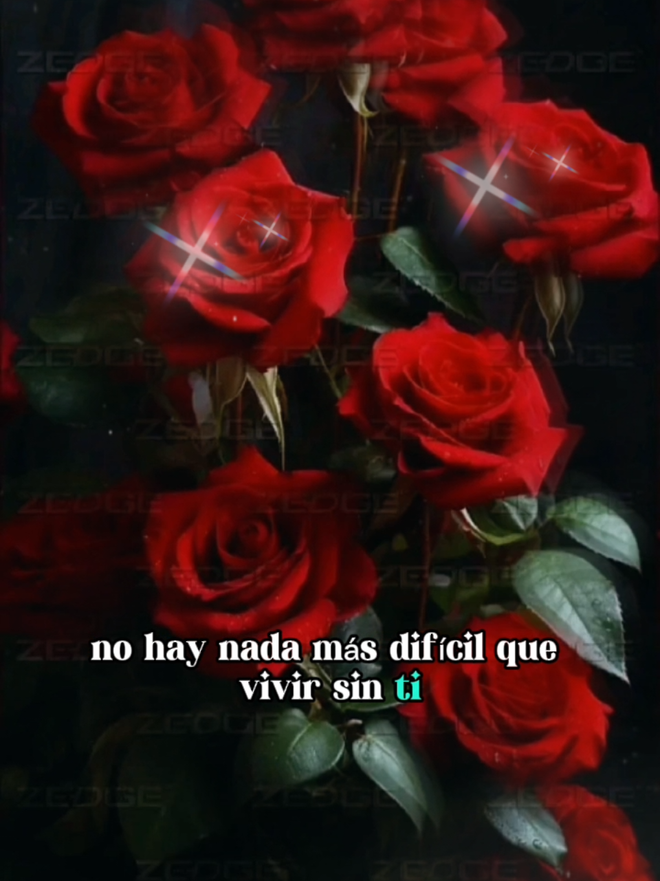 @♥️ 𝐹𝑒𝓁𝓎 ♥️