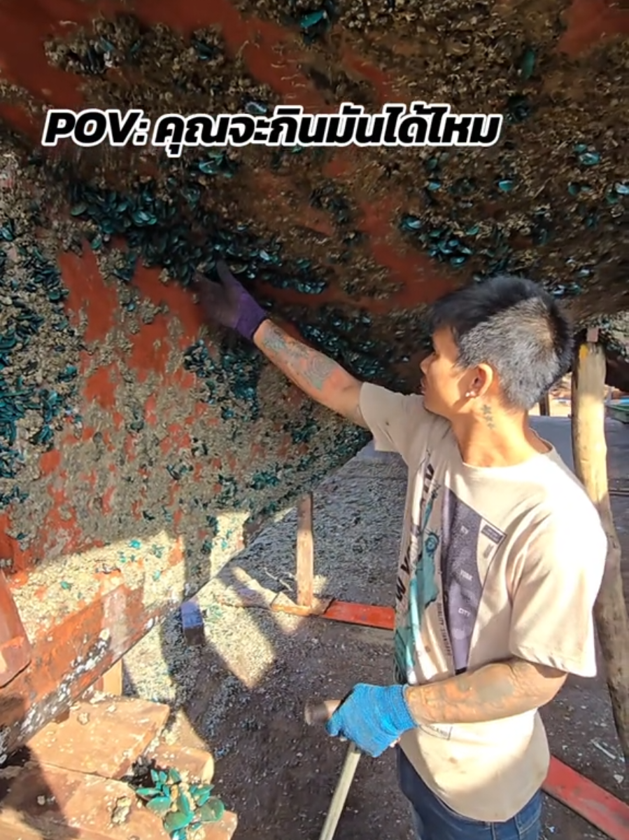 @คานเรือนิยมค้า-KRN