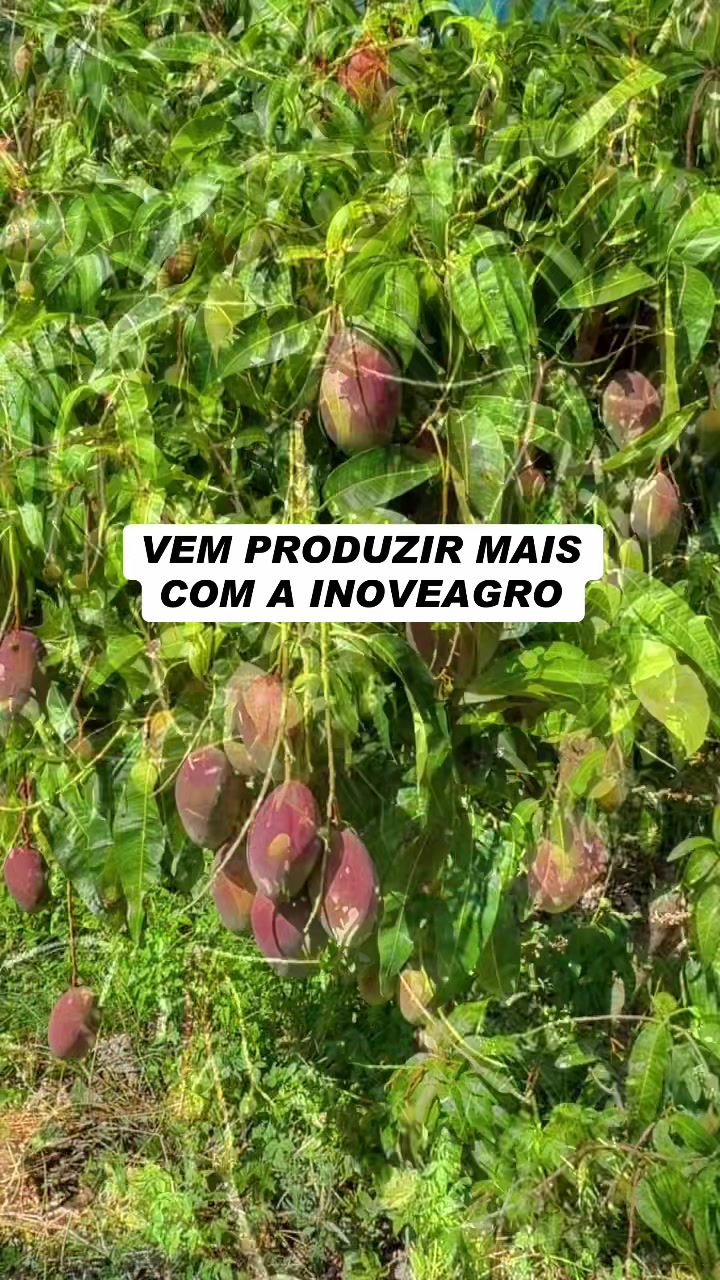 @flavio12inoveagro_oficial