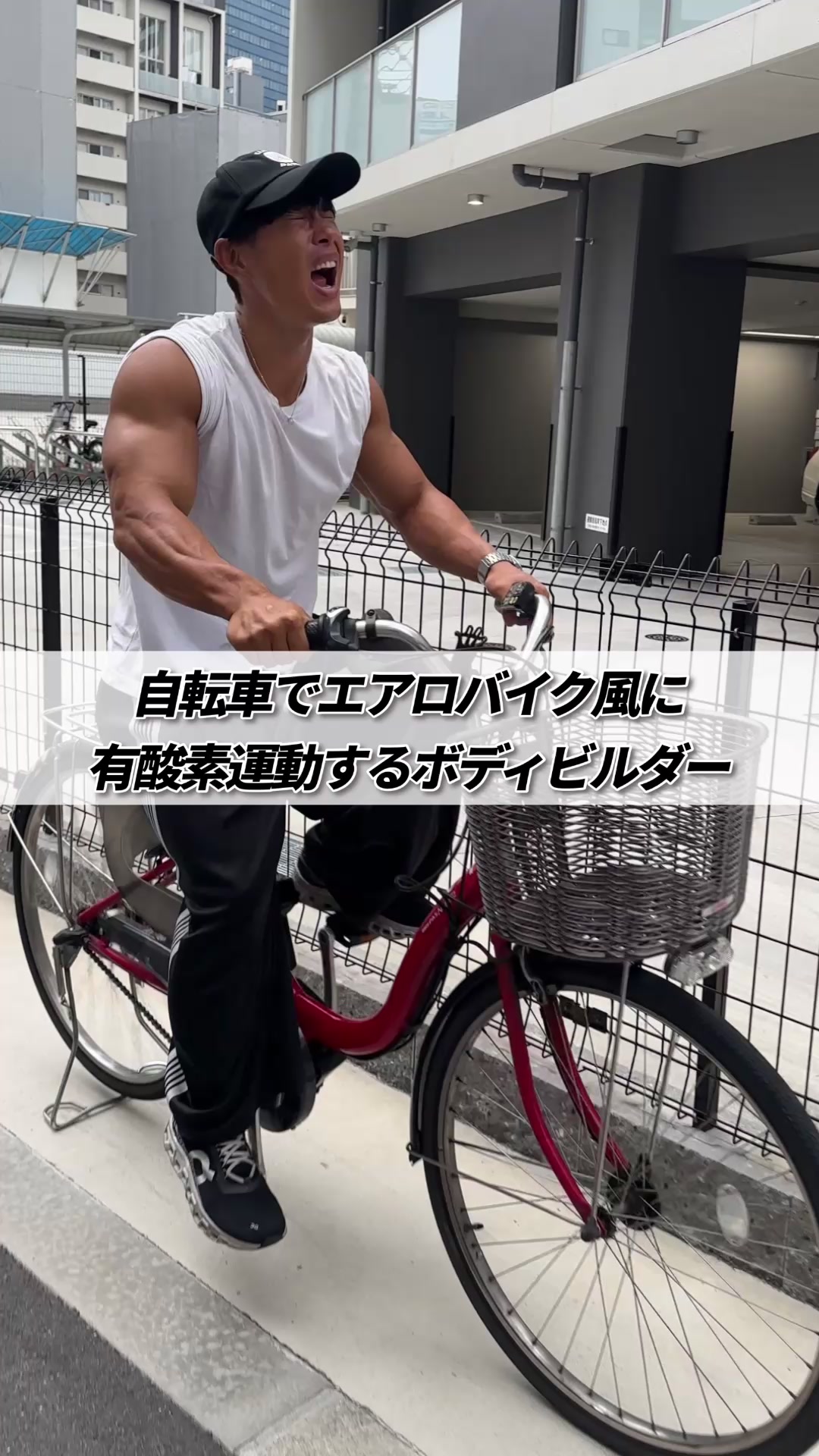@たんぱくとりお