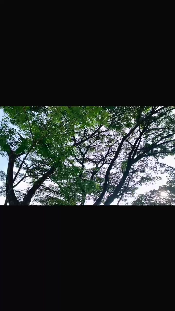 @!nd4h 🧚&zwj;♀️