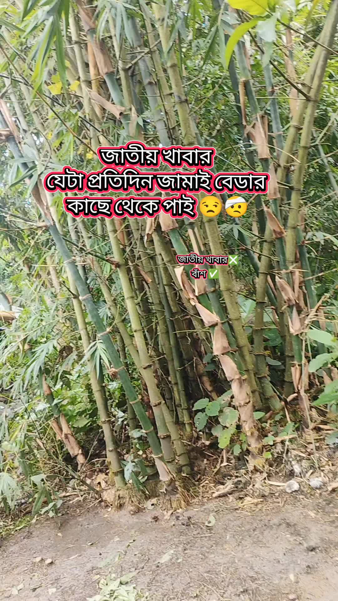 @~★~ Jannatun Shompa ~★~