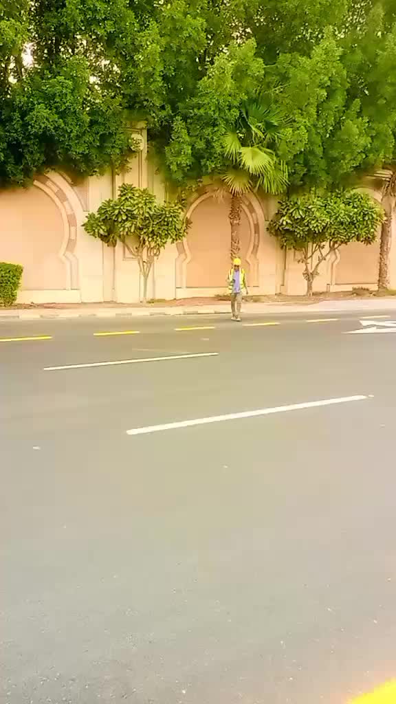 @Sanaulla Khan