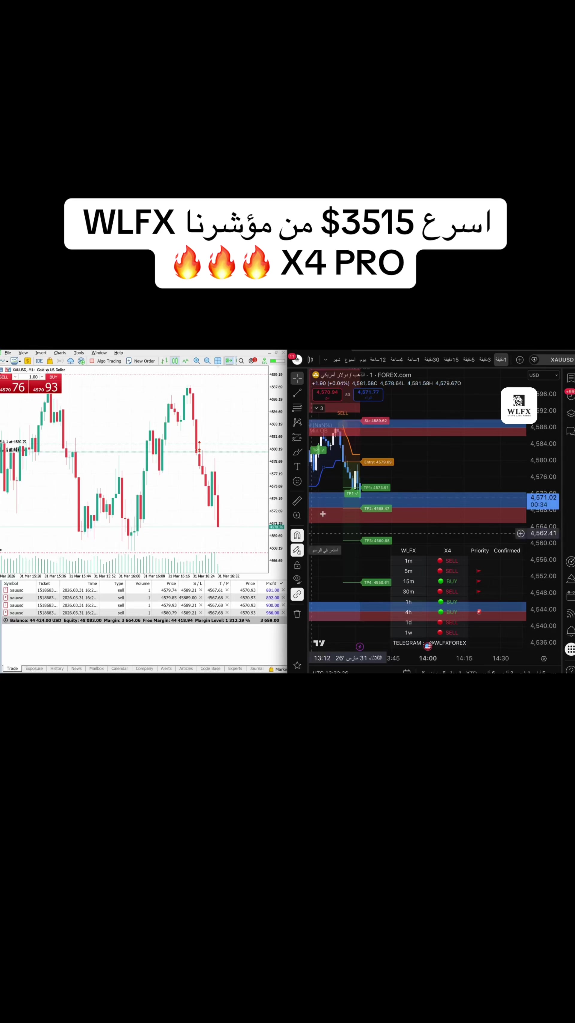 @WLFX.forex