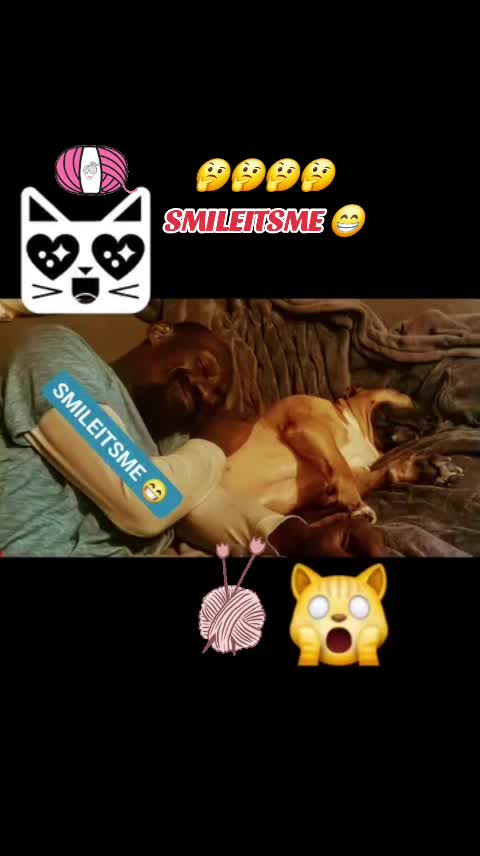 @Mr. SMILEITSME 😁