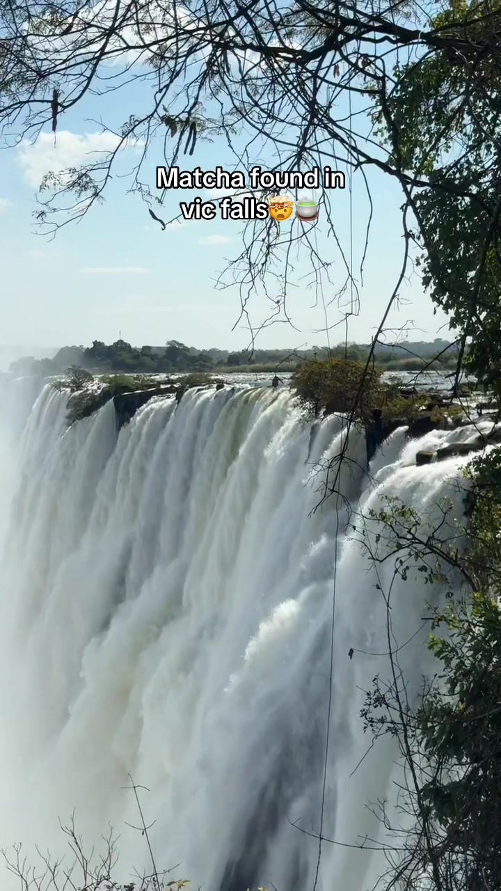 @honeymarku5