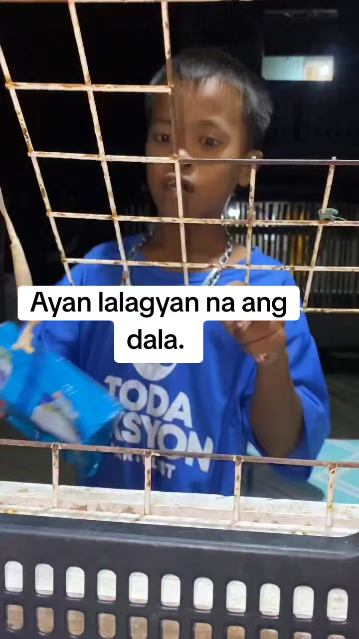 @Ahriex