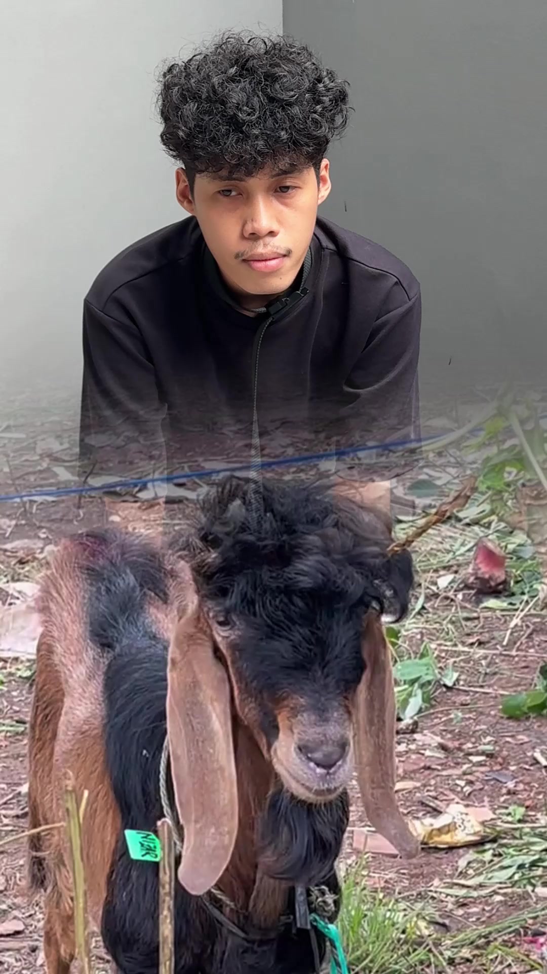 @anangwaw