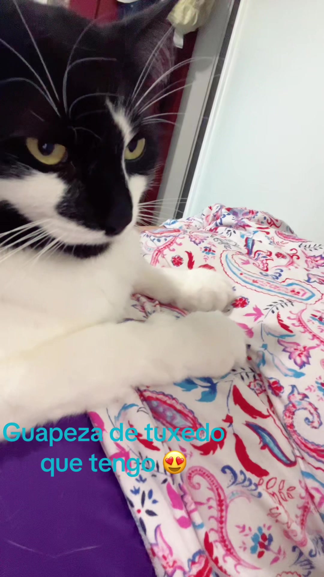@Consuelo S