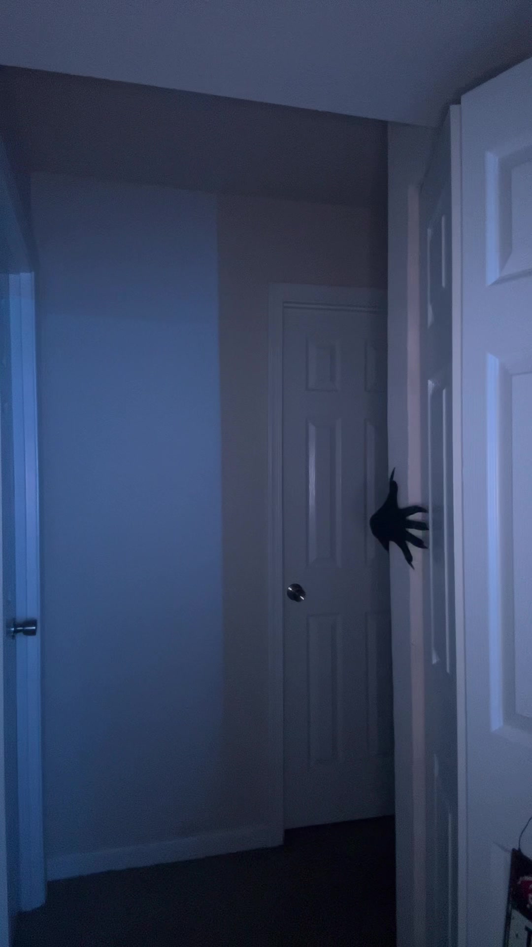 @PorgWitch