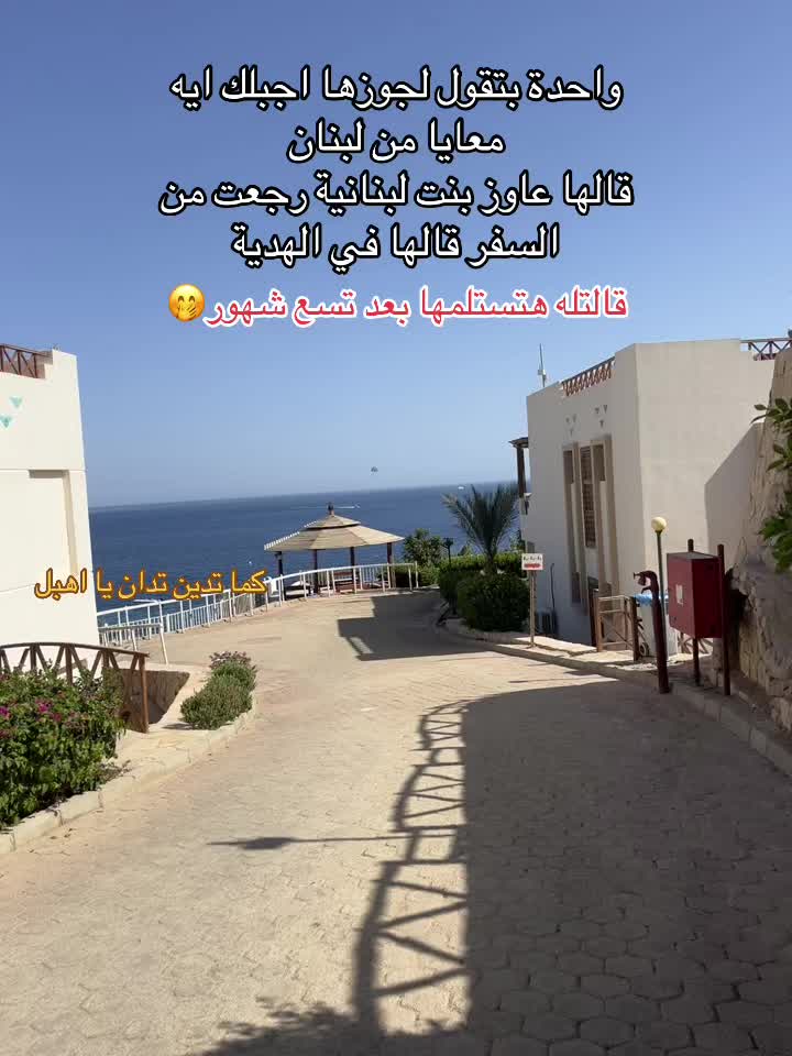 @Mostafa Rezeka