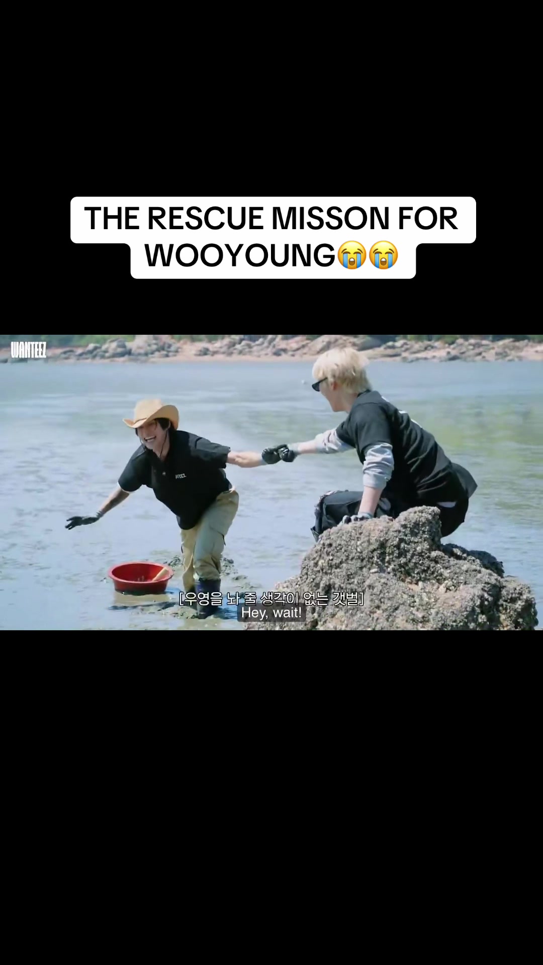 @🐡