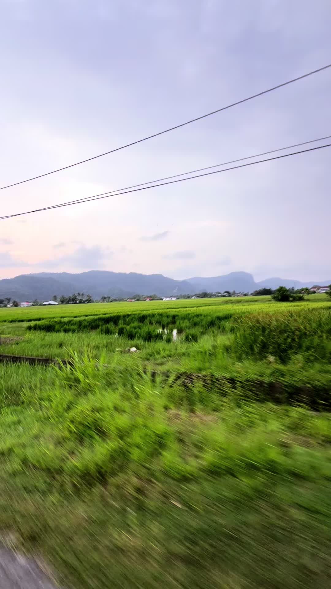 @zuraininonie 208🇲🇾