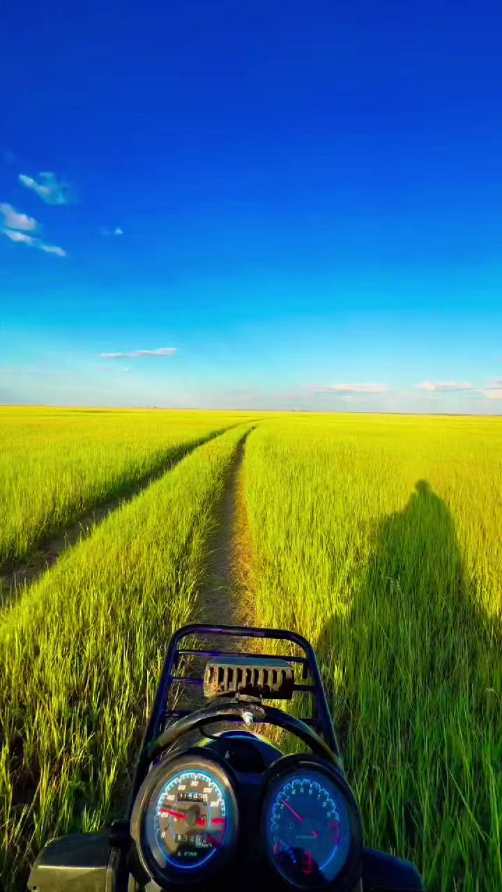 @Kazakhstan sila