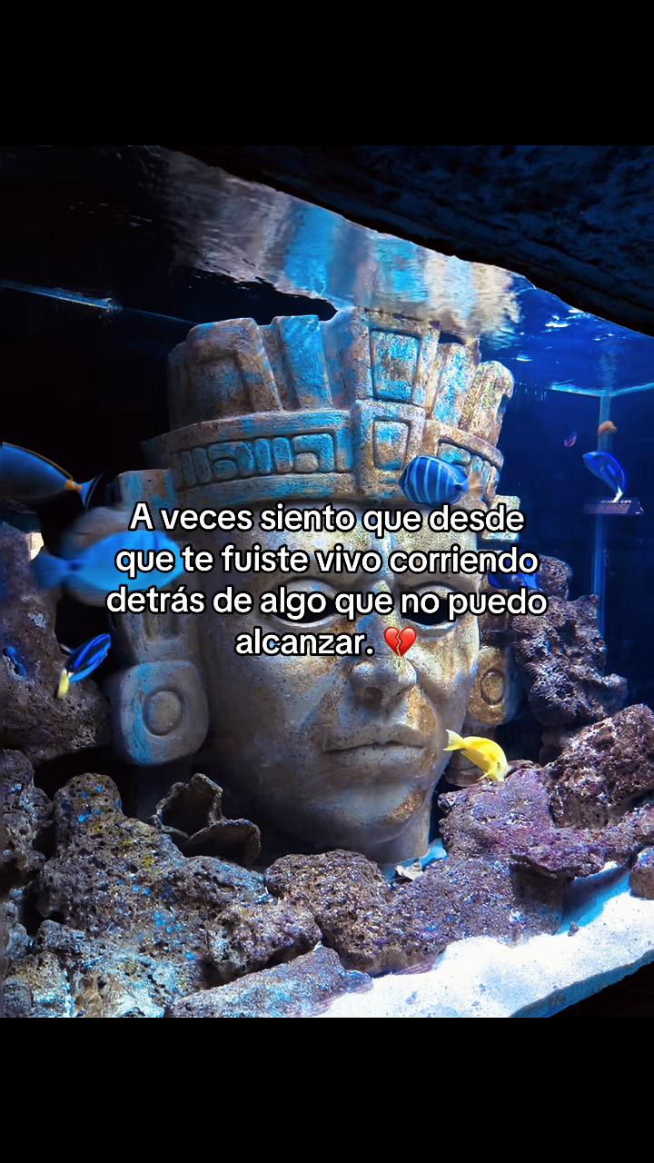 @Usuario No Encontrado.
