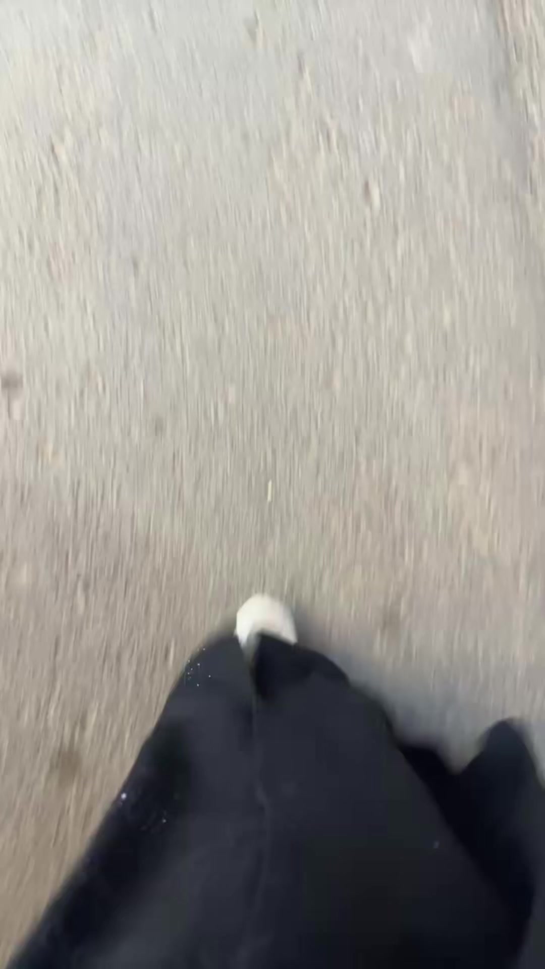 @جوري المدخلي