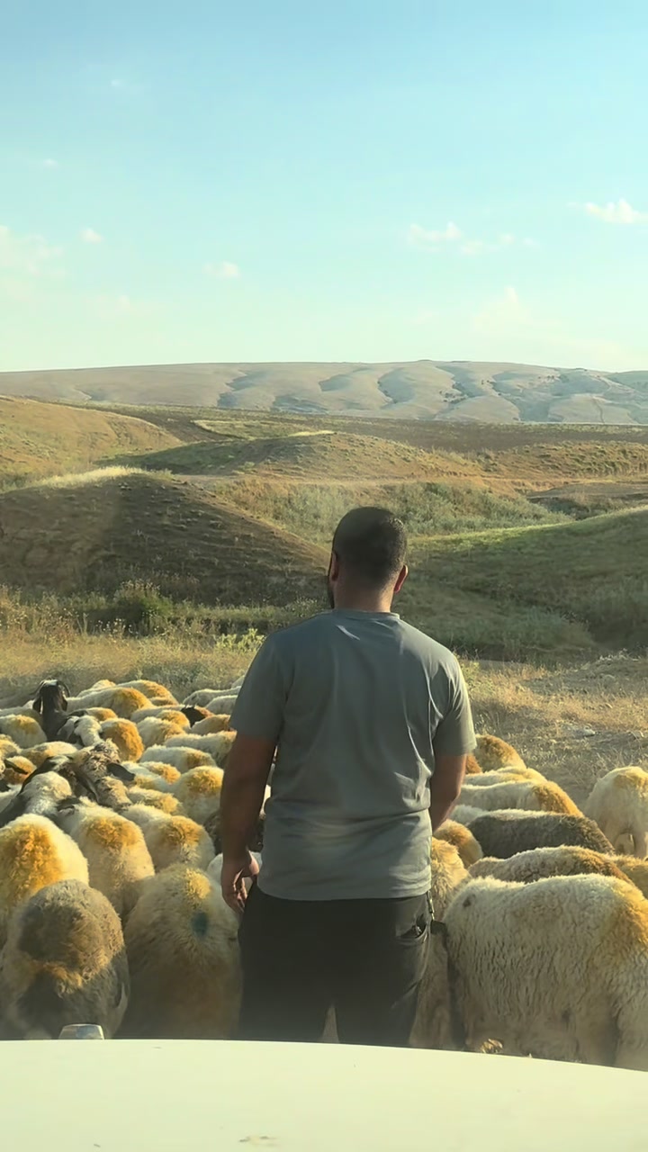 @زيد شاكر
