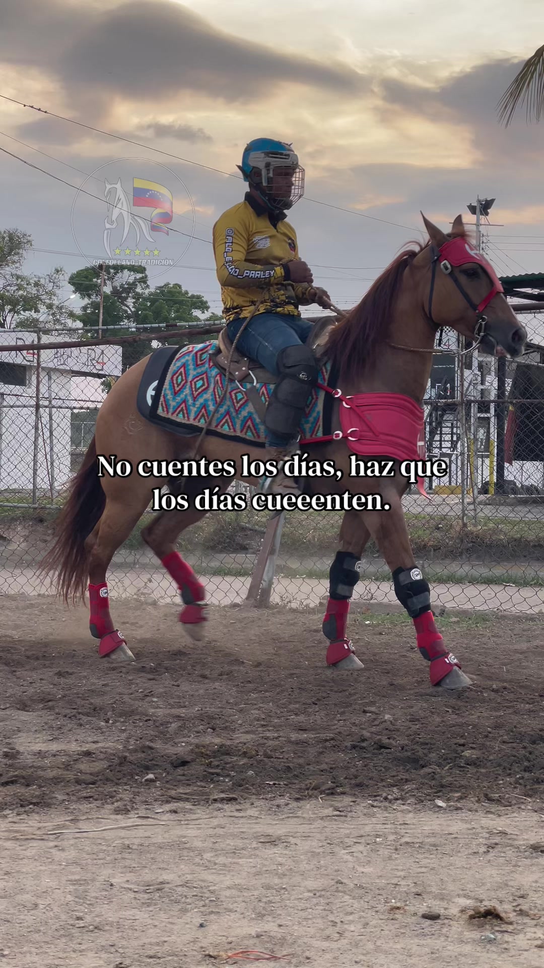 @@Coleollano_tradicion