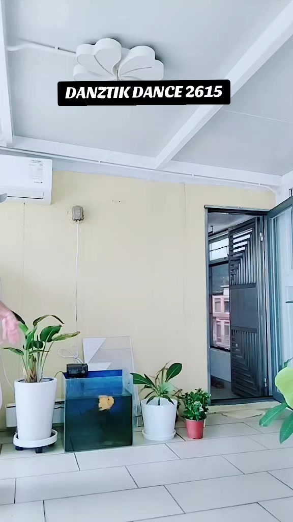 @💚🌈 DANZTIK ADMIN YVONNE 🌈💚