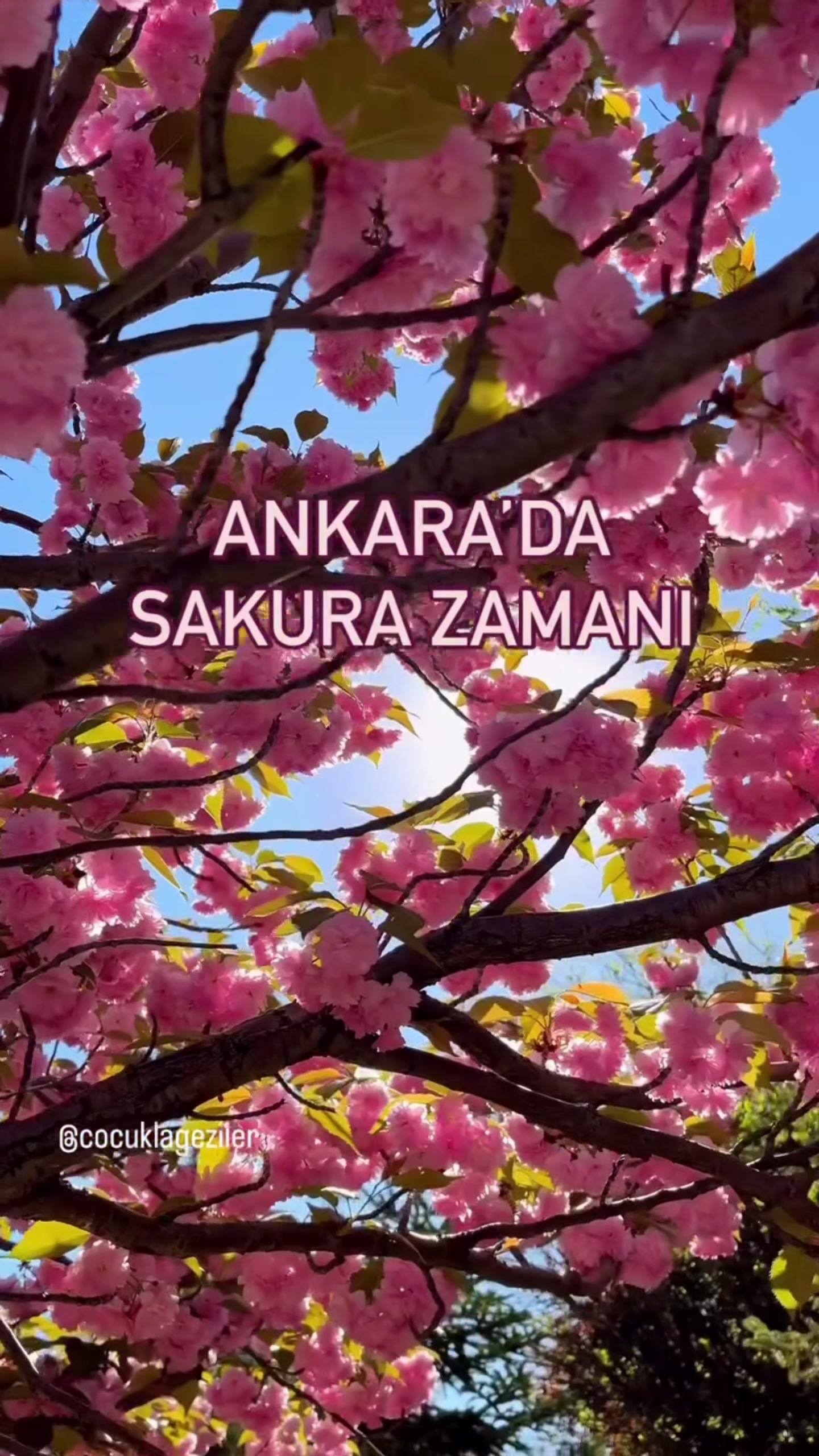@cocuklageziler