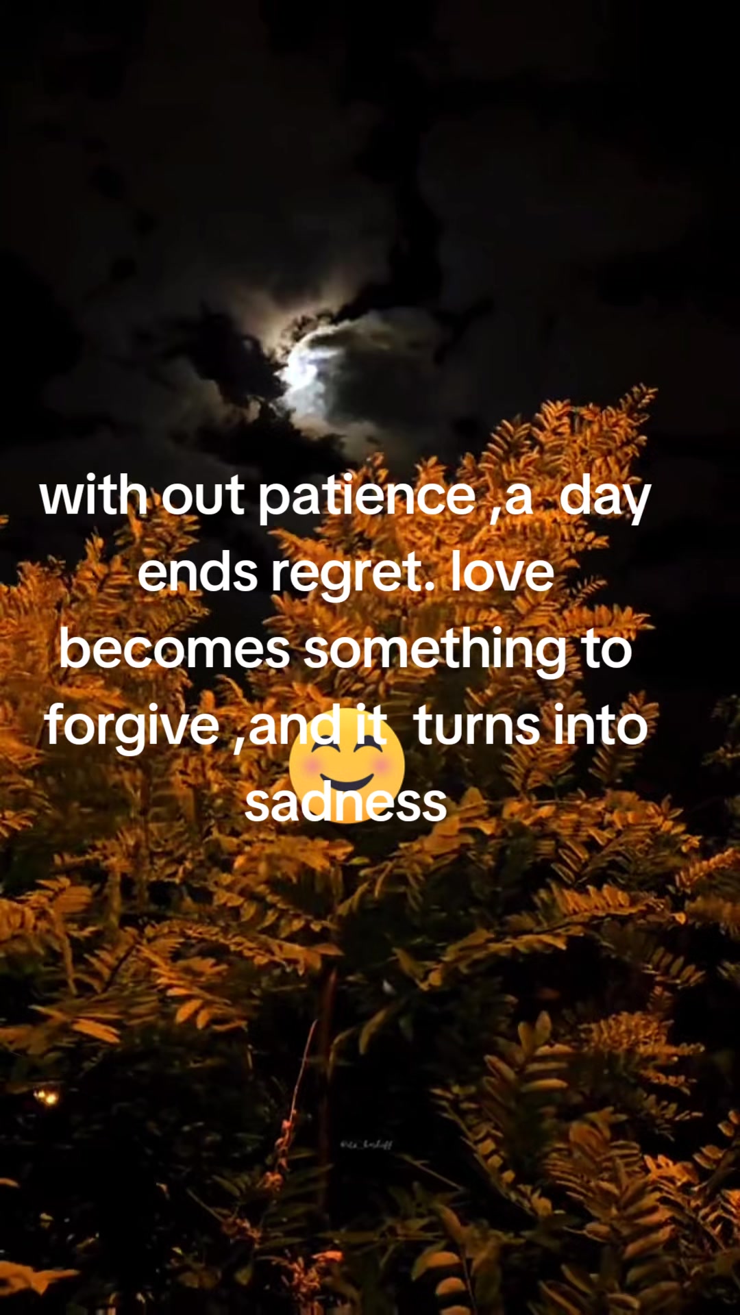@jujuA🌷⭐🌙